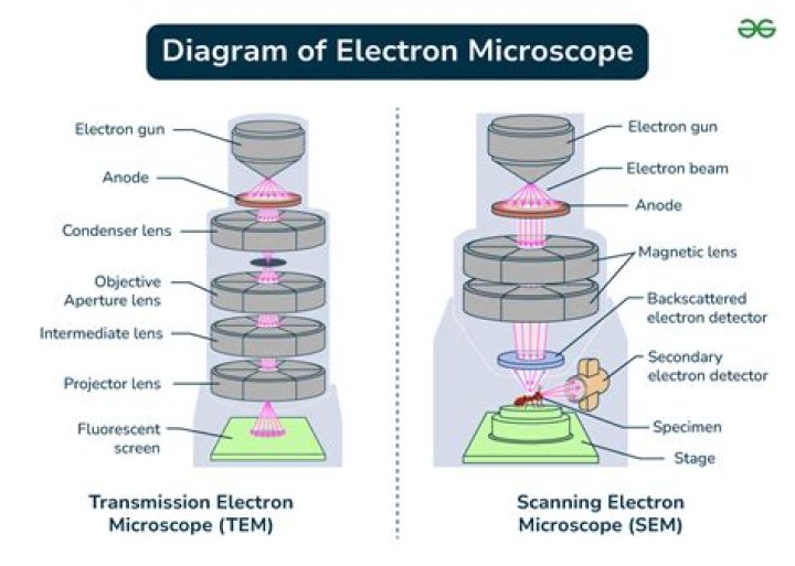 A Little To The Left Microscope: A Journey Into The World Of Microscopy