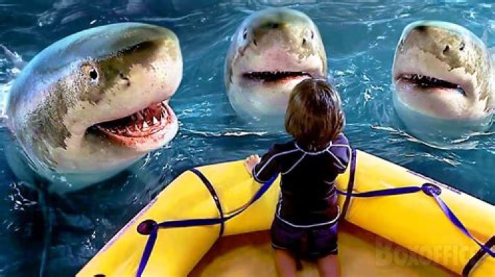 Unraveling The Mystery: Did Sharkboy Find His Dad?